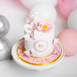 Butterflies 1st birthday cake